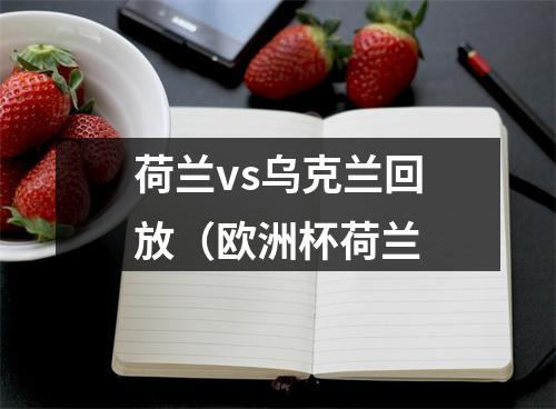荷兰vs乌克兰回放（欧洲杯荷兰