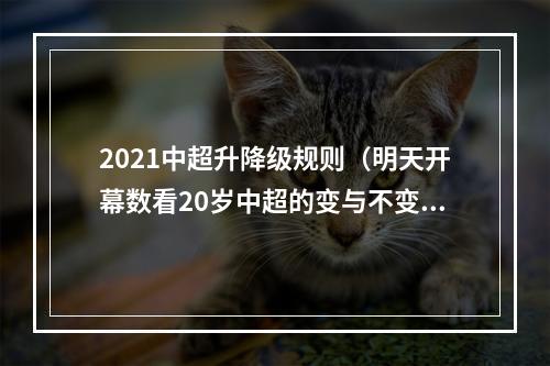 2021中超升降级规则（明天开幕数看20岁中超的变与不变联赛冠名金额十年新低）