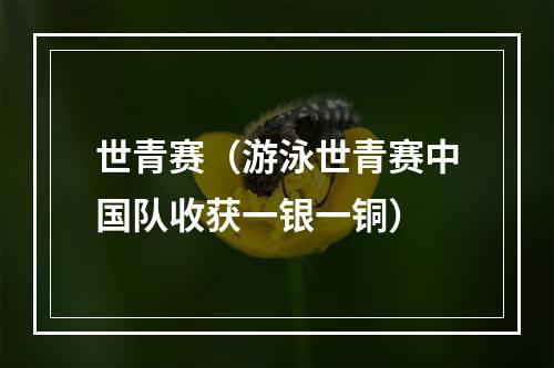 世青赛（游泳世青赛中国队收获一银一铜）
