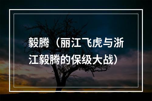 毅腾（丽江飞虎与浙江毅腾的保级大战）