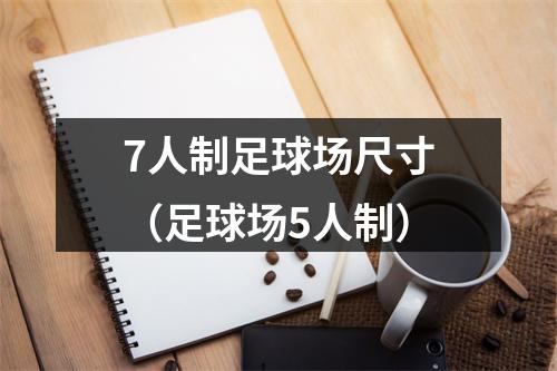 7人制足球场尺寸（足球场5人制）