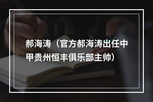 郝海涛（官方郝海涛出任中甲贵州恒丰俱乐部主帅）