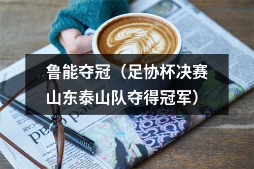 鲁能夺冠（足协杯决赛山东泰山队夺得冠军）