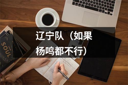 辽宁队（如果杨鸣都不行）