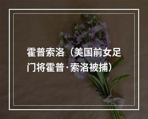 霍普索洛（美国前女足门将霍普·索洛被捕）