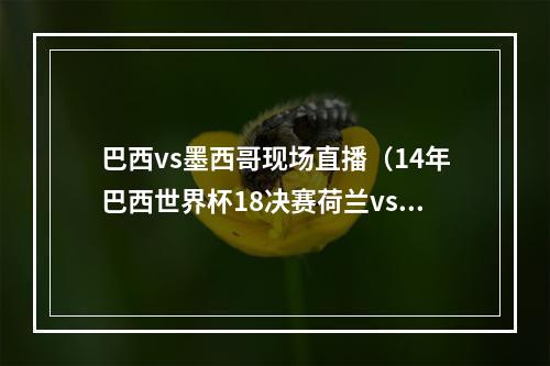 巴西vs墨西哥现场直播（14年巴西世界杯18决赛荷兰vs墨西哥）