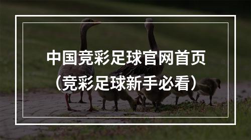 中国竞彩足球官网首页（竞彩足球新手必看）