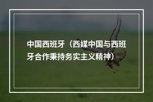 中国西班牙（西媒中国与西班牙合作秉持务实主义精神）