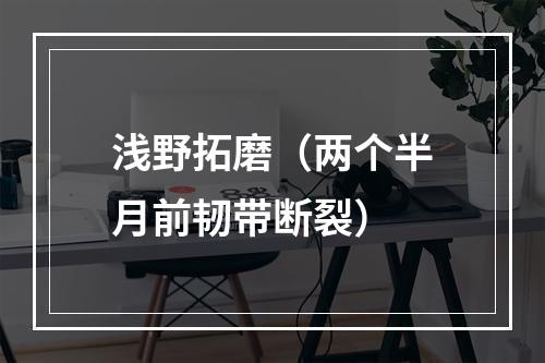 浅野拓磨（两个半月前韧带断裂）