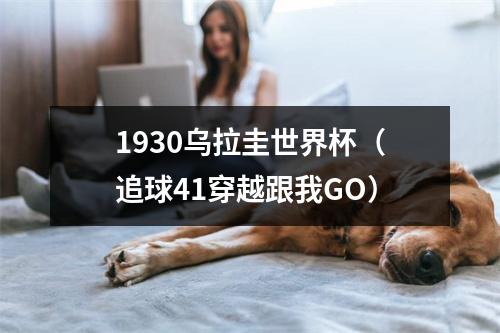 1930乌拉圭世界杯（追球41穿越跟我GO）