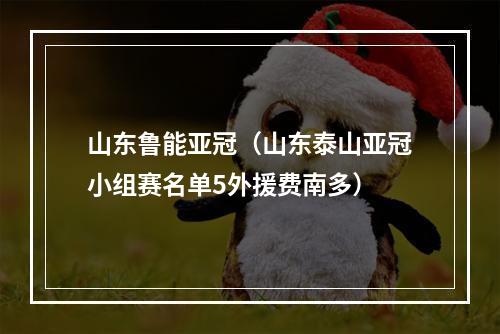 山东鲁能亚冠（山东泰山亚冠小组赛名单5外援费南多）