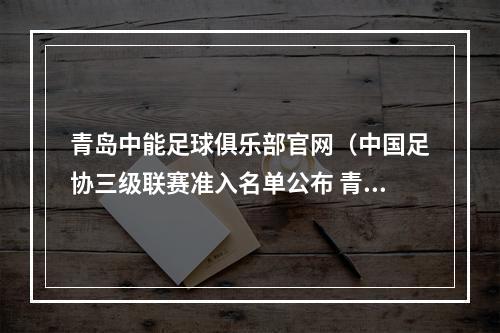 青岛中能足球俱乐部官网（中国足协三级联赛准入名单公布 青岛将拥有4支职业球队）