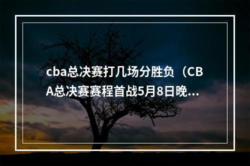 cba总决赛打几场分胜负（CBA总决赛赛程首战5月8日晚19点35 辽宁客战浙江）