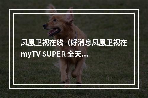凤凰卫视在线（好消息凤凰卫视在myTV SUPER 全天都能收看啦）