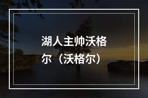 湖人主帅沃格尔（沃格尔）