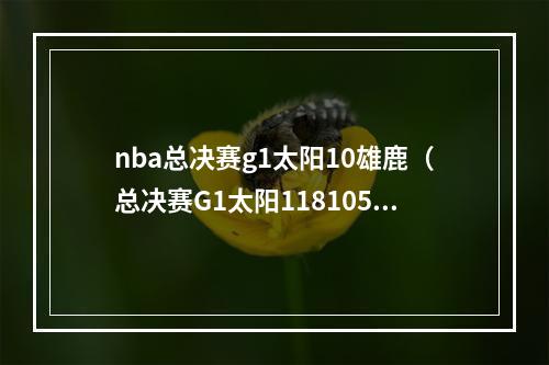 nba总决赛g1太阳10雄鹿（总决赛G1太阳118105胜雄鹿 保罗32分9助攻）