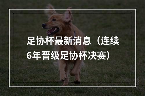 足协杯最新消息（连续6年晋级足协杯决赛）