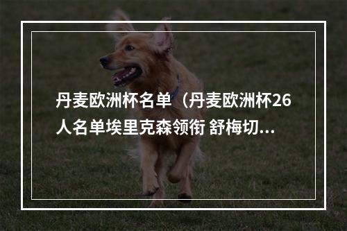 丹麦欧洲杯名单（丹麦欧洲杯26人名单埃里克森领衔 舒梅切尔在阵）