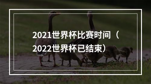 2021世界杯比赛时间（2022世界杯已结束）