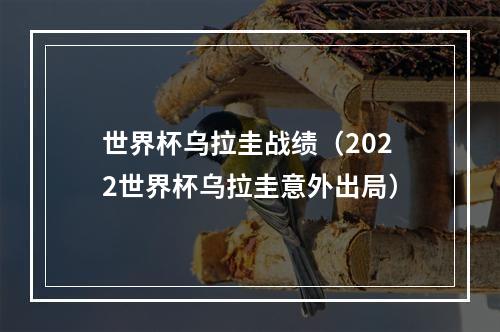世界杯乌拉圭战绩（2022世界杯乌拉圭意外出局）