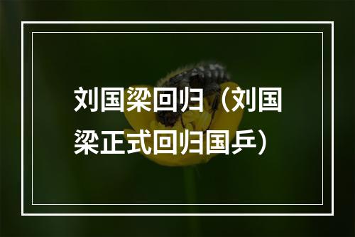 刘国梁回归（刘国梁正式回归国乒）