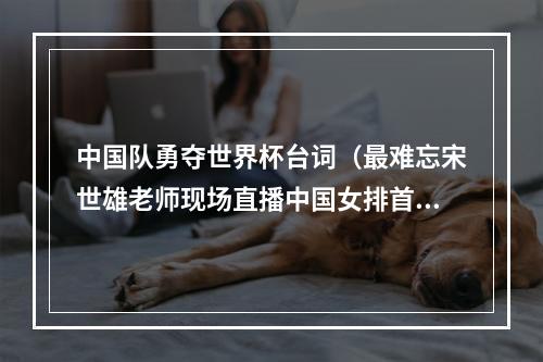 中国队勇夺世界杯台词（最难忘宋世雄老师现场直播中国女排首次夺得世界冠军的台词）
