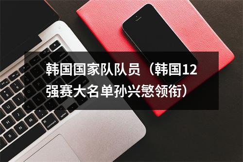韩国国家队队员（韩国12强赛大名单孙兴慜领衔）