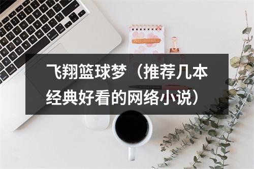 飞翔篮球梦（推荐几本经典好看的网络小说）