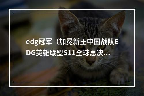 edg冠军（加冕新王中国战队EDG英雄联盟S11全球总决赛夺冠）