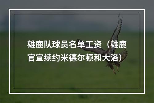 雄鹿队球员名单工资（雄鹿官宣续约米德尔顿和大洛）