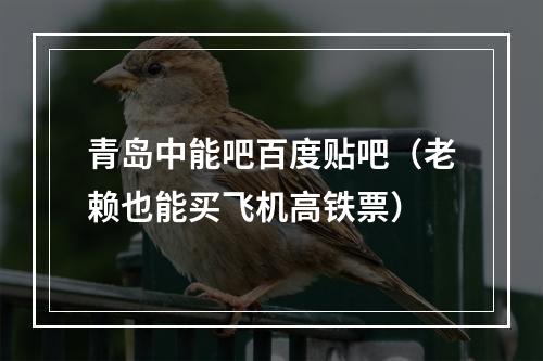 青岛中能吧百度贴吧（老赖也能买飞机高铁票）