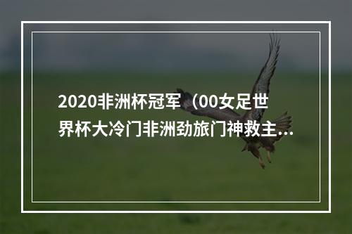 2020非洲杯冠军（00女足世界杯大冷门非洲劲旅门神救主）