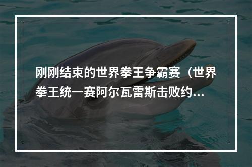 刚刚结束的世界拳王争霸赛（世界拳王统一赛阿尔瓦雷斯击败约翰莱德）