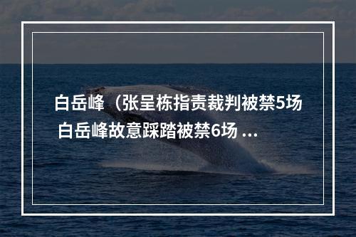 白岳峰（张呈栋指责裁判被禁5场 白岳峰故意踩踏被禁6场 贵州遭通报批评）