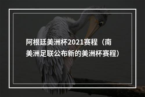 阿根廷美洲杯2021赛程（南美洲足联公布新的美洲杯赛程）