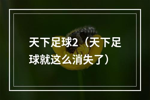 天下足球2（天下足球就这么消失了）