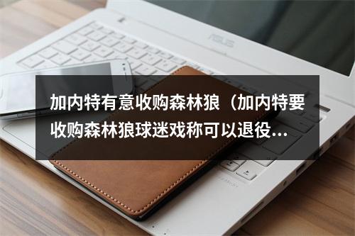 加内特有意收购森林狼（加内特要收购森林狼球迷戏称可以退役自己的球衣了）