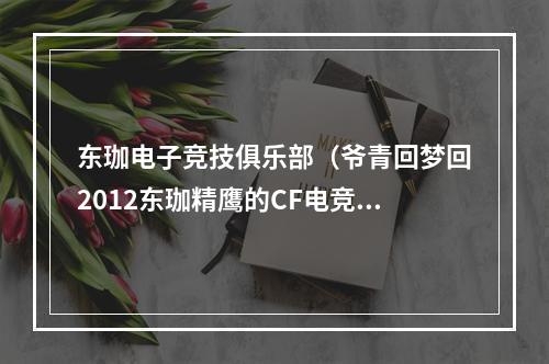 东珈电子竞技俱乐部（爷青回梦回2012东珈精鹰的CF电竞之旅）