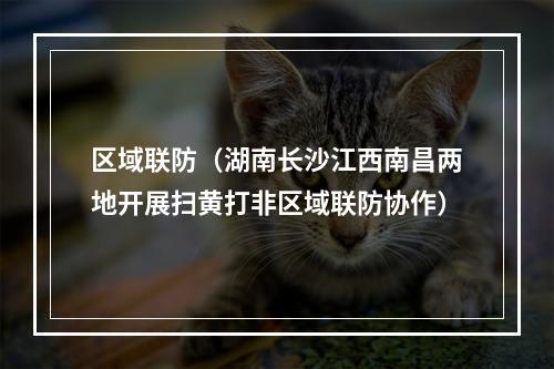 区域联防（湖南长沙江西南昌两地开展扫黄打非区域联防协作）