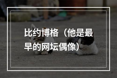 比约博格（他是最早的网坛偶像）