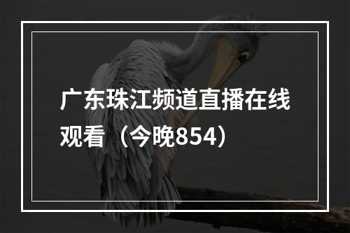 广东珠江频道直播在线观看（今晚854）