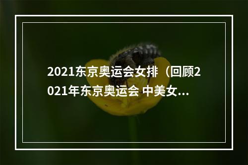 2021东京奥运会女排（回顾2021年东京奥运会 中美女排比赛过程 美国女排优势明显）