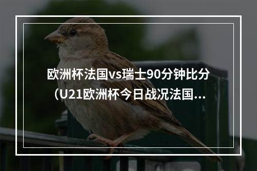 欧洲杯法国vs瑞士90分钟比分（U21欧洲杯今日战况法国胜意大利德国11打10平局）