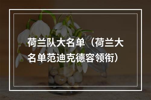 荷兰队大名单（荷兰大名单范迪克德容领衔）