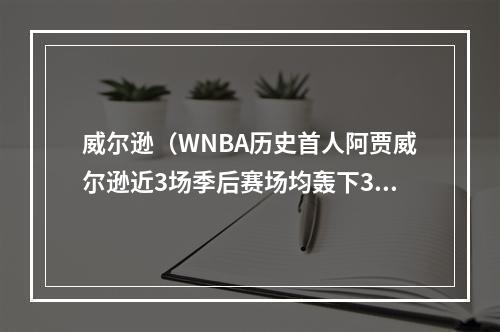 威尔逊（WNBA历史首人阿贾威尔逊近3场季后赛场均轰下34分117板33帽）