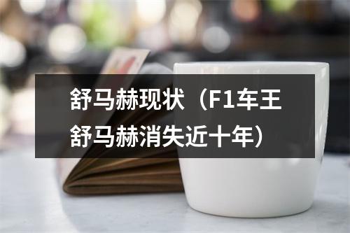 舒马赫现状（F1车王舒马赫消失近十年）