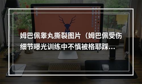 姆巴佩睾丸撕裂图片（姆巴佩受伤细节曝光训练中不慎被格耶踩踏 满地打滚不起）