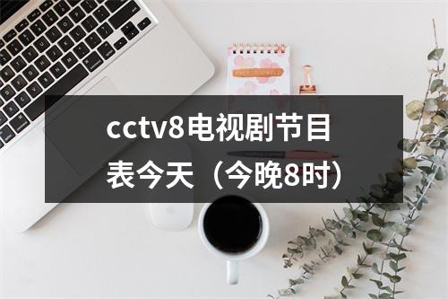 cctv8电视剧节目表今天（今晚8时）