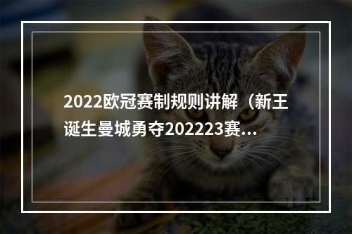 2022欧冠赛制规则讲解（新王诞生曼城勇夺202223赛季欧冠冠军伊斯坦布尔见证三冠王）