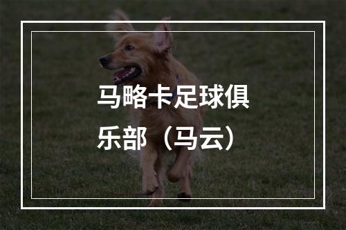 马略卡足球俱乐部（马云）